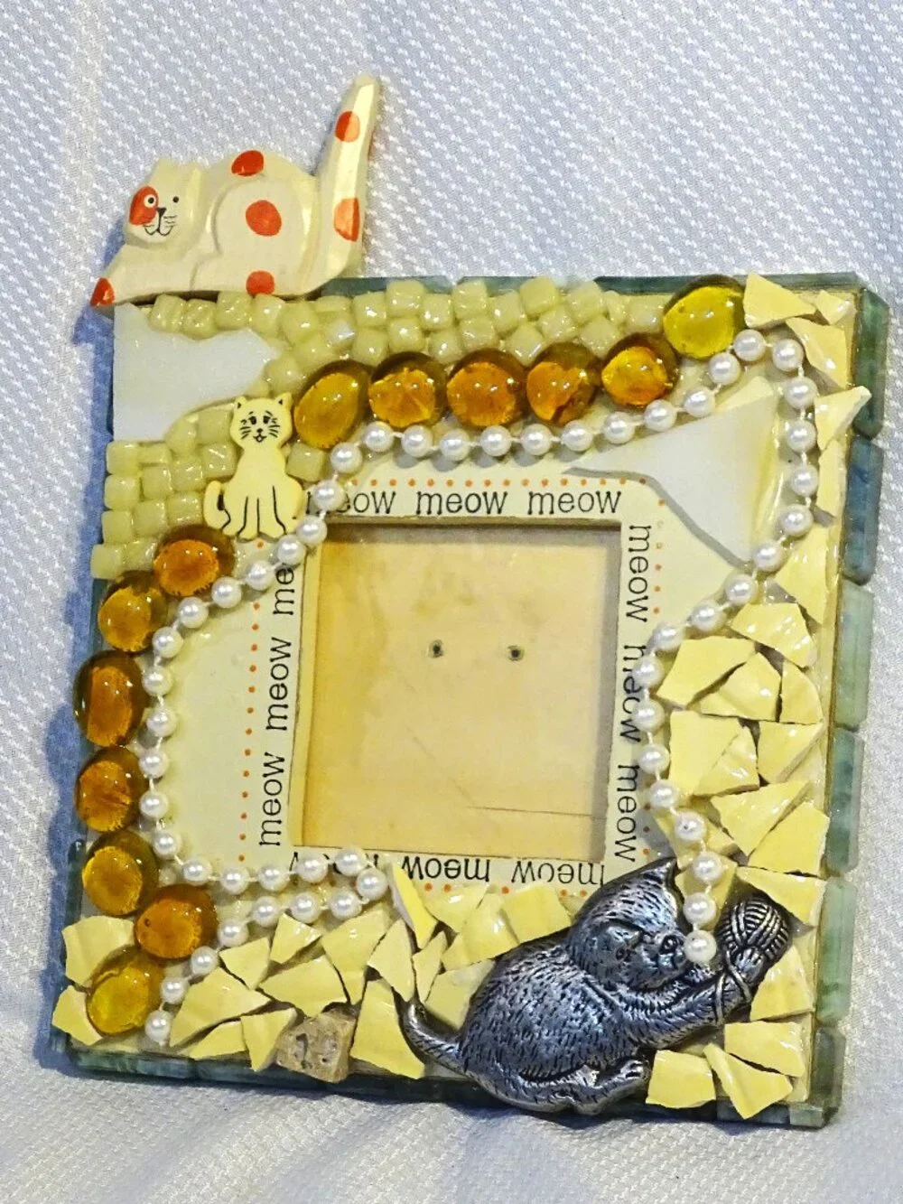 Gorgeous Cat Picture Frame 7 1/2